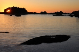 IMG_3879 (Copier)